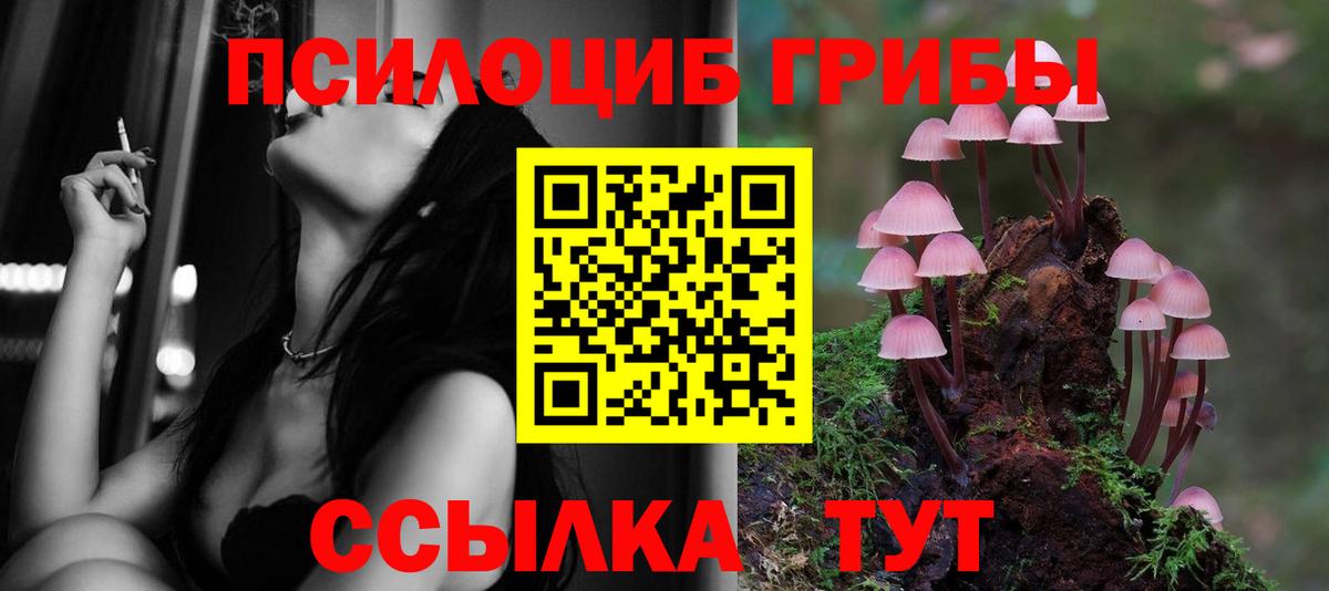 магазин продажи   Галлюциногенные грибы ЛСД  Вход с VPN  Мценск  Псилоцибиновые грибы Psilocybe 